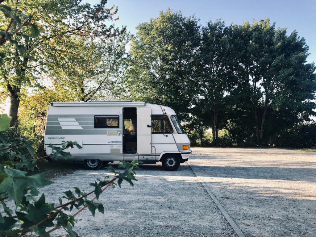 Wild Campers Wild Campers